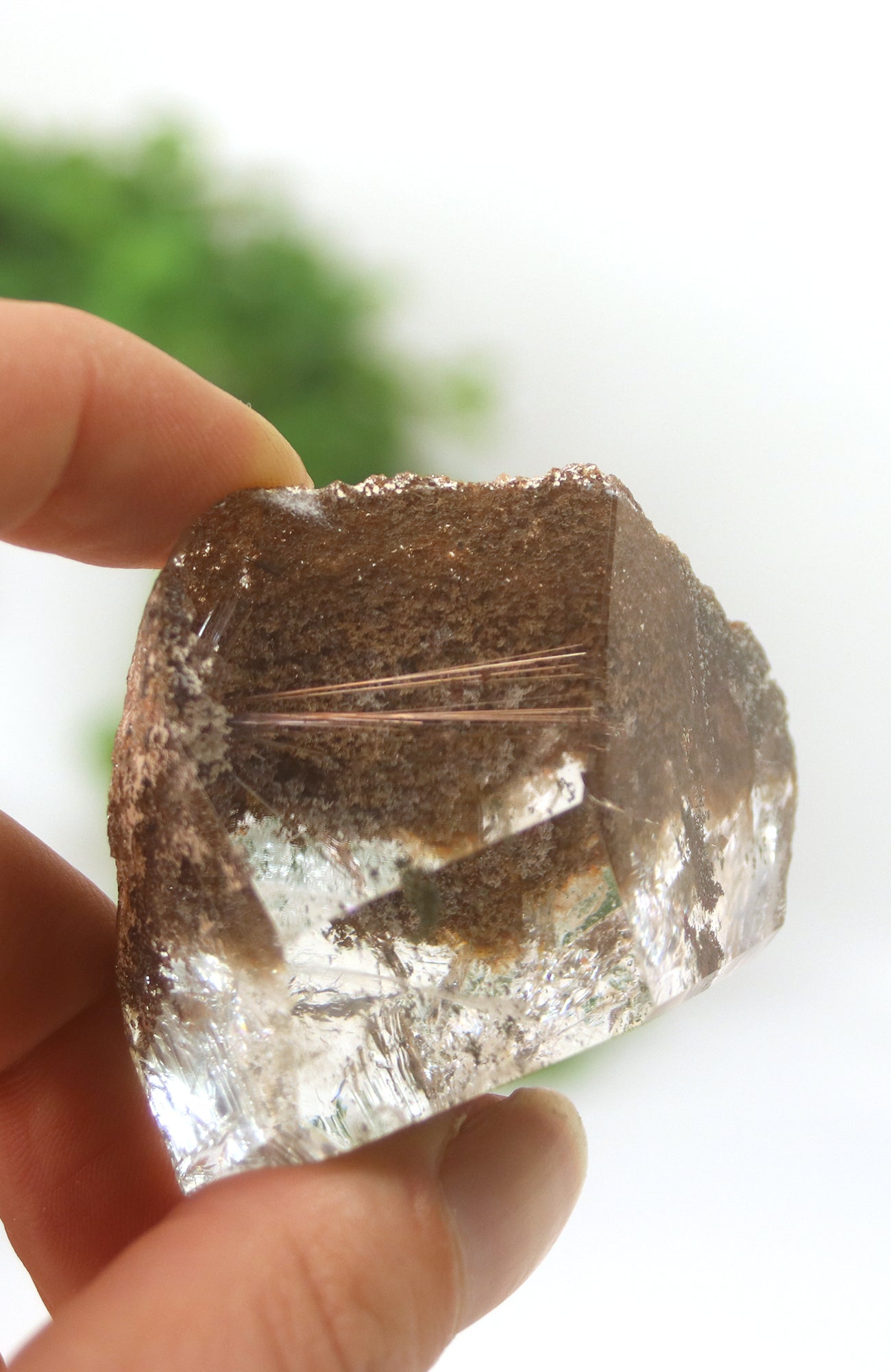 Lodalite Quartz Freeform Generator